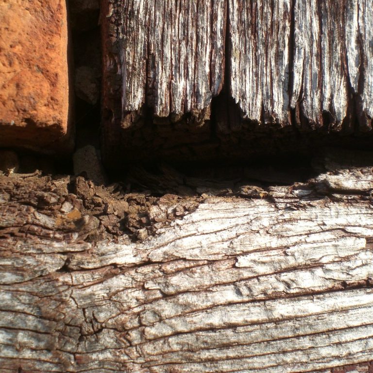 Detailaufnahme Holz und Lehm Nahaufnahme von Holzoberfläche eines Fachwerkhauses mit Lehmsteinen und Fugen.